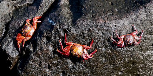 Similar image 8013999