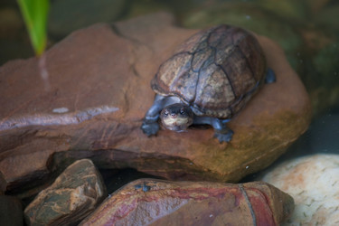 Similar image 8014001