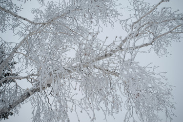 Similar image 8014011