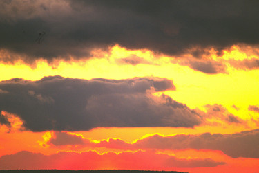 Similar image 8014020