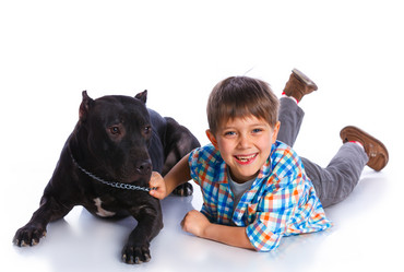 Similar image 8014042