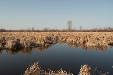 Similar image 8014072