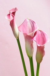 Similar image 8014074