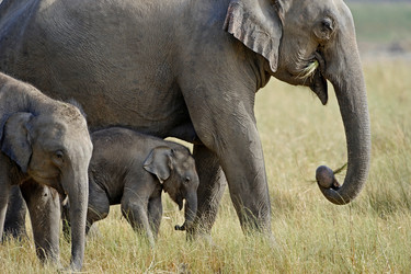 Similar image 8014081