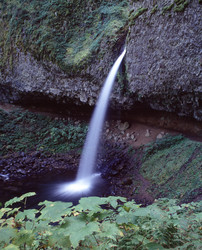 Similar image 8014083