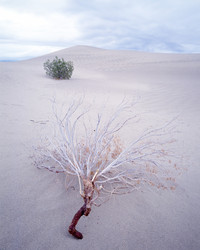 Similar image 8014088