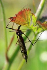 Similar image 8014090