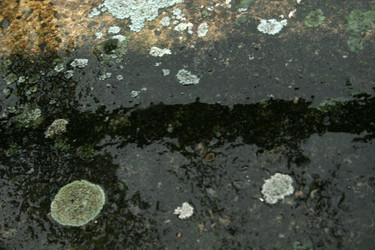 Similar image 8014091