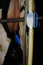 Similar image 8014115