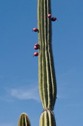 Similar image 8014191