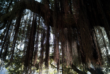 Similar image 8014217