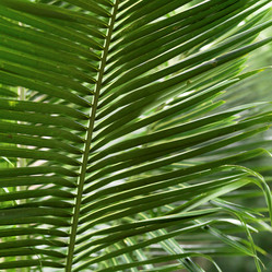 Similar image 8014220