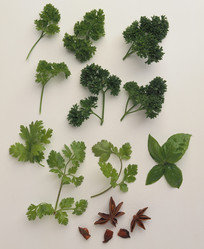 Similar image 8014219