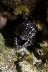 Similar image 8014224