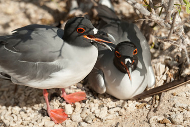 Similar image 8014226