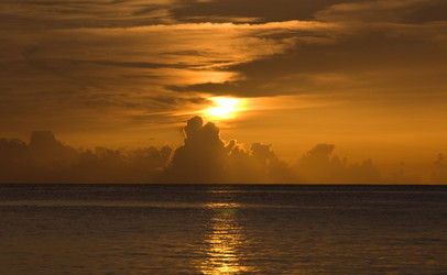 Similar image 8014227