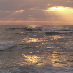 Similar image 8014273