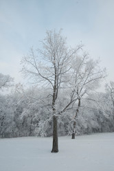 Similar image 8014274