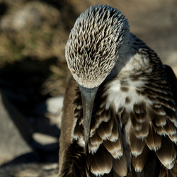 Similar image 8014289