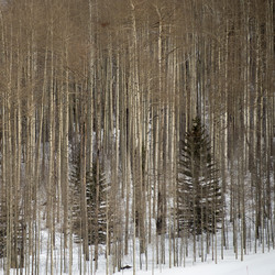 Similar image 8014294