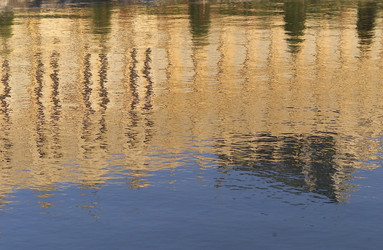 Similar image 8014295