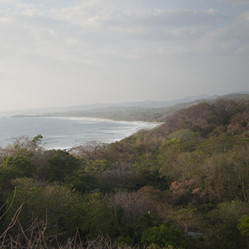 Similar image 8014299