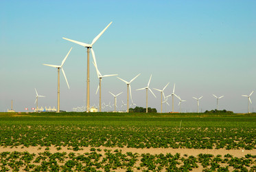 Similar image 8014310