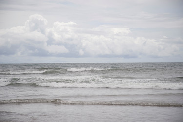 Similar image 8014331