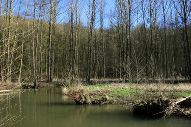 Similar image 8014335