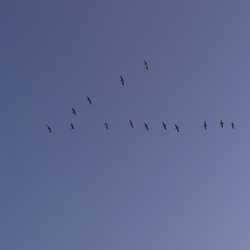 Similar image 8014336