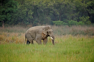 Similar image 8014338