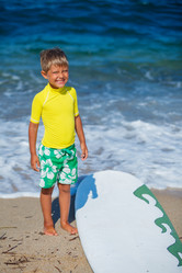 Similar image 8014359