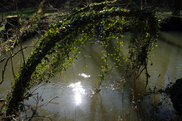 Similar image 8014372