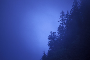 Similar image 8014378