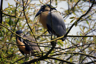 Similar image 8014415