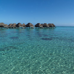 Similar image 8014418