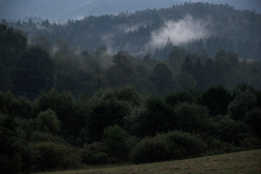 Similar image 8014421