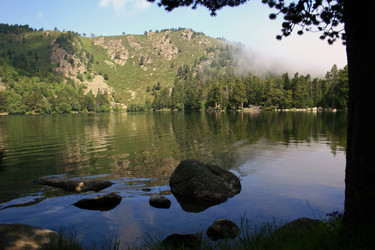 Similar image 8014424