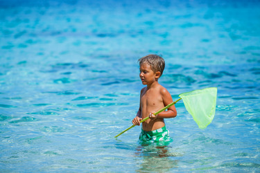 Similar image 8014471