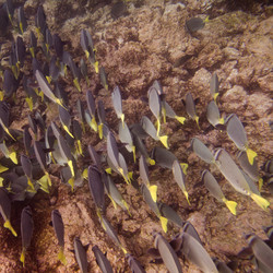 Similar image 8014476