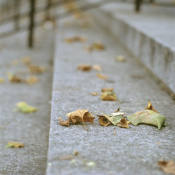 Similar image 8014482