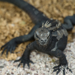 Similar image 8014487