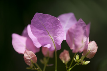 Similar image 8014489