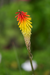 Similar image 8014520