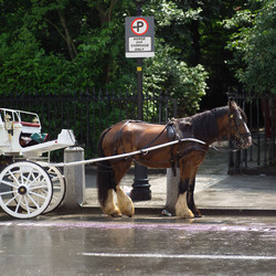 Similar image 8014523