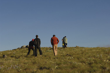 Similar image 8014524