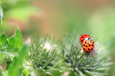 Similar image 8014559