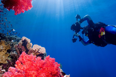 Similar image 8014560