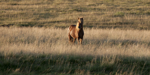 Similar image 8014569