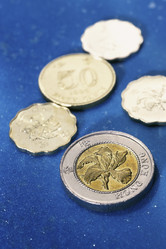 Similar image 8014575